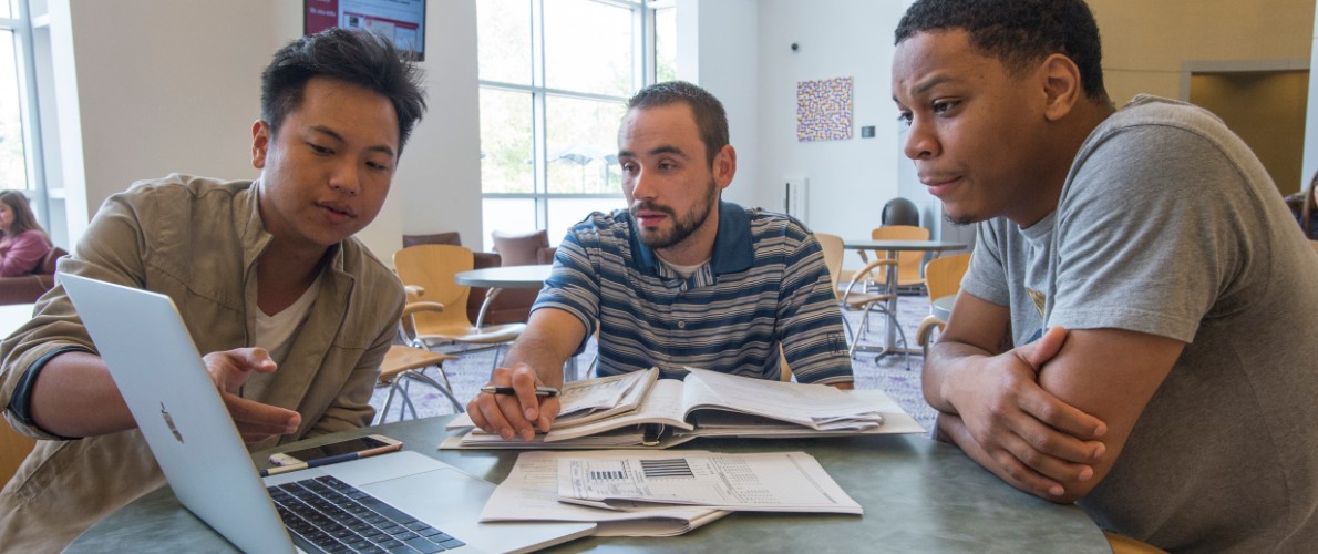 Honors students studying in the library