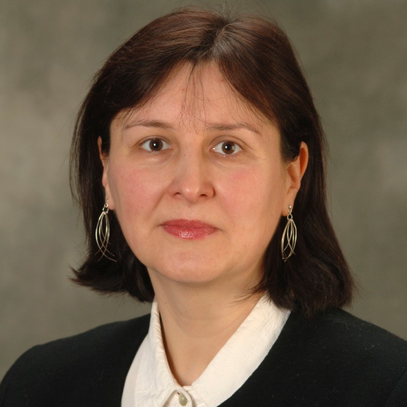 Liliana Lefticariu